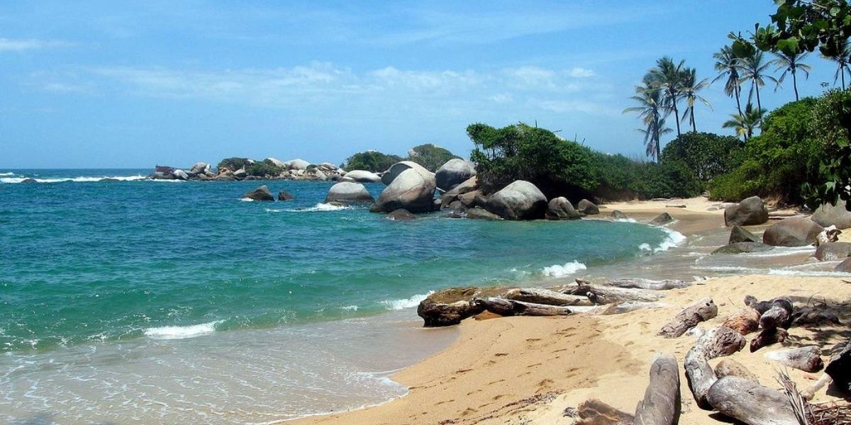 Seguimiento El caimán aguja apareció en Cabo San Juan.