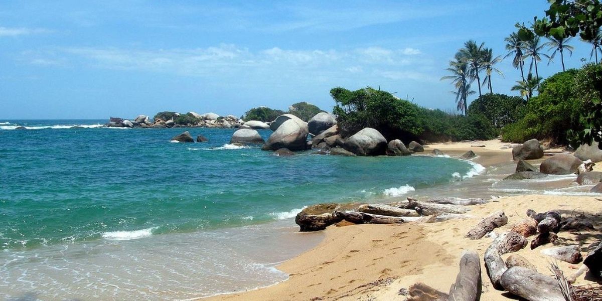 El caimán aguja apareció en Cabo San Juan.