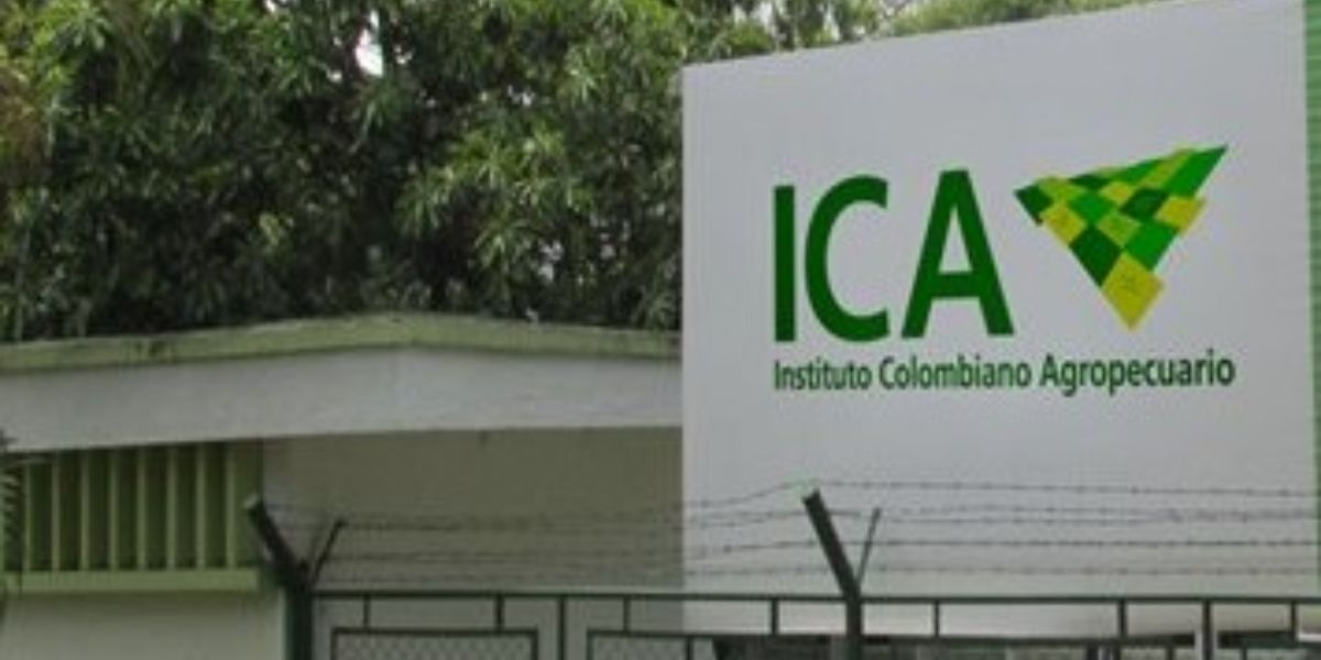El Instituto Colombiano Agropecuario ha recibido denuncias sobre la existencia de una presunta red criminal que está utilizando la imagen institucional para realizar ilícitos.