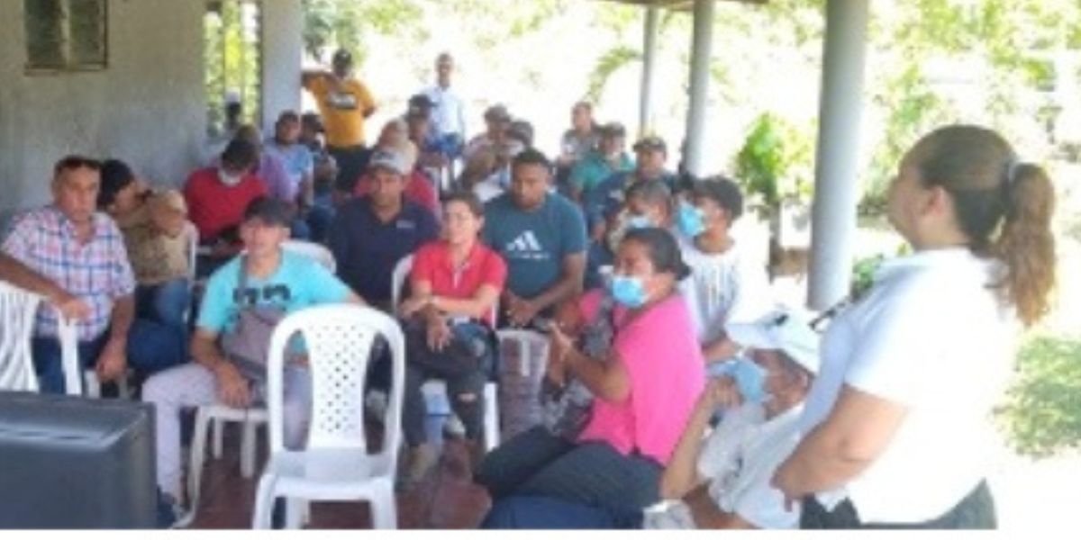ICA Productores de mango.