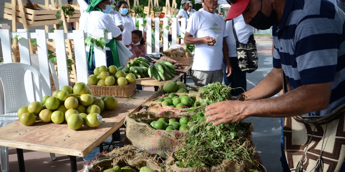 Proyecto E-Commerce ha brindado herramientas y conocimientos a 33 asociaciones campesinas.