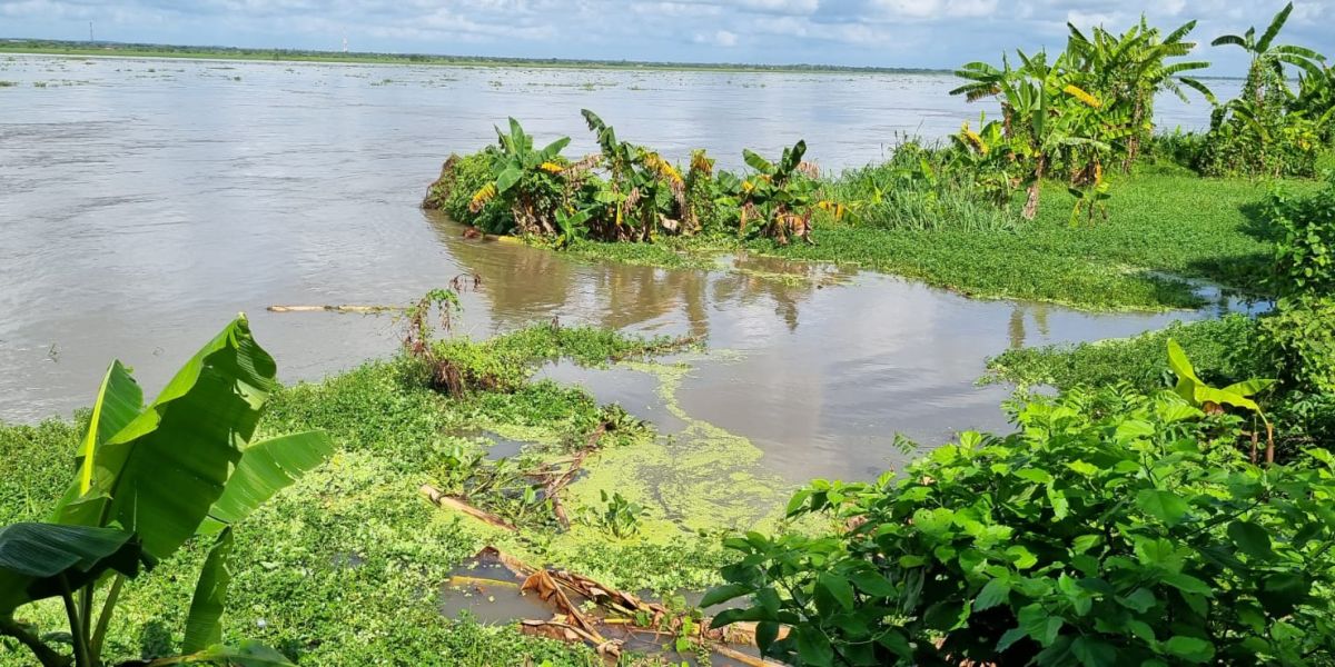 Cortesía. Tres fincas están bajo las aguas.
