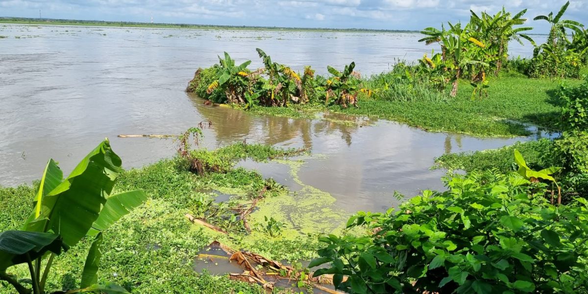 Tres fincas están bajo las aguas. 