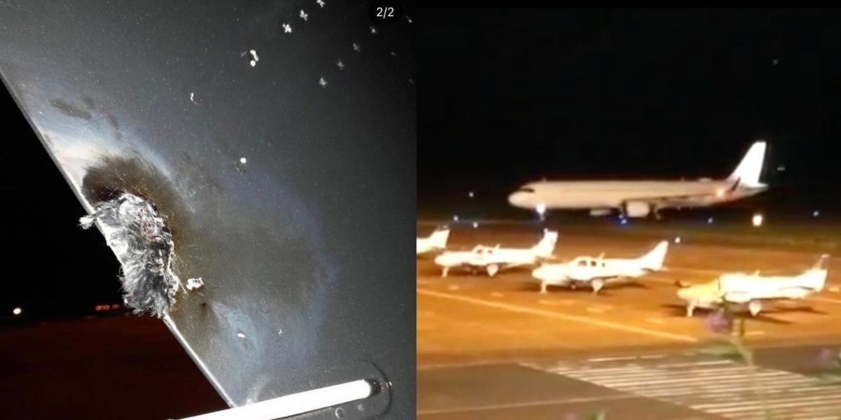 Twitter Imágenes del avión.