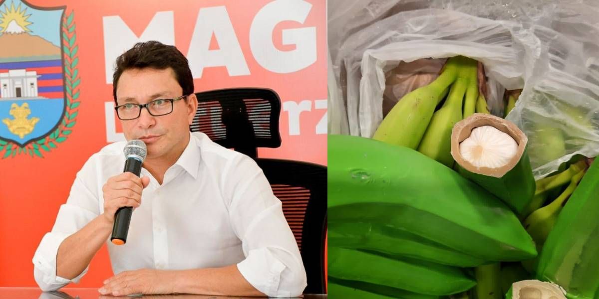 Seguimiento.co El gobernador nuevamente se pronunció por los hallazgos de droga en cargamentos de banano.