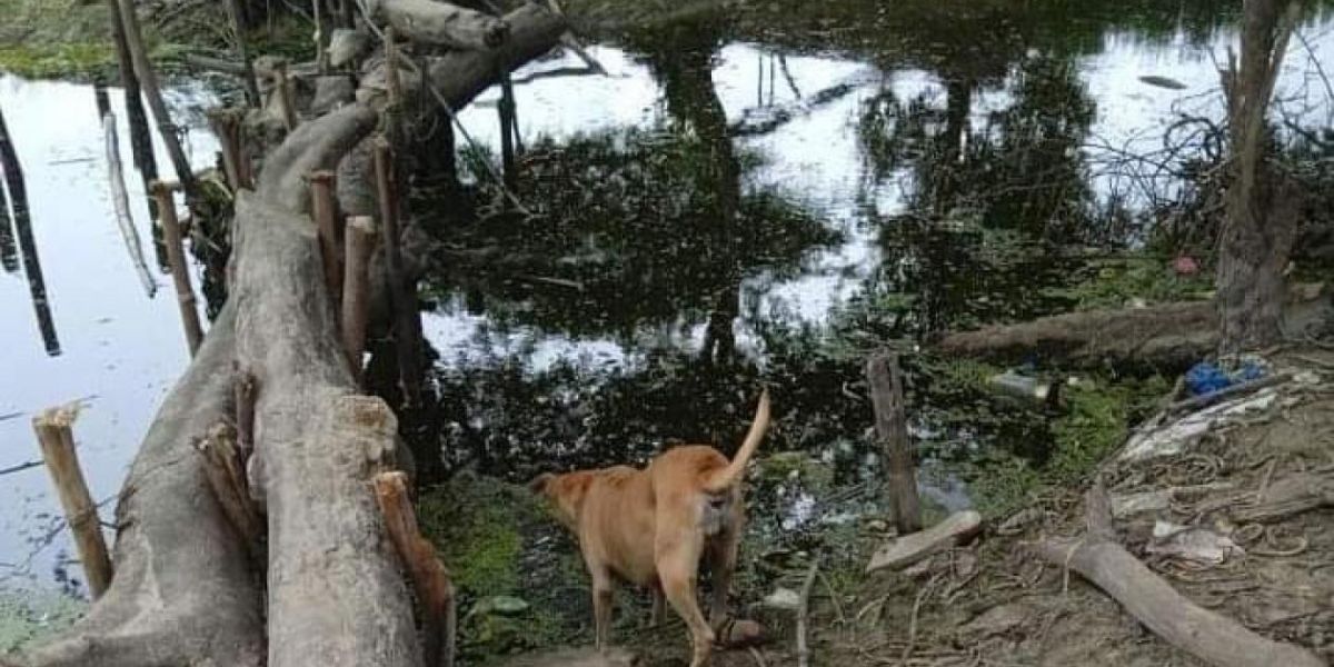 Lugar donde fue hallada la pequeña.