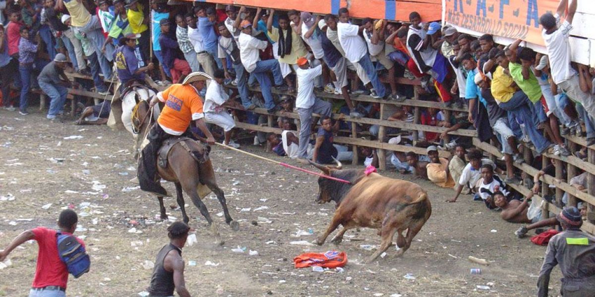 Gobernación del Magdalena. Proponen abolir las corralejas.
