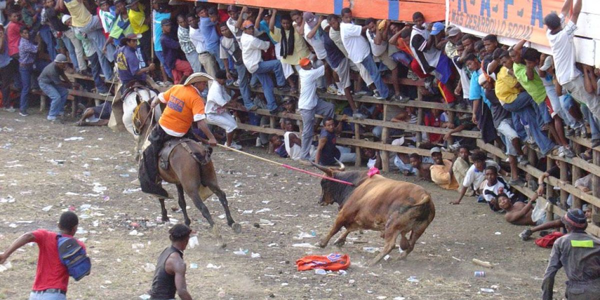 Proponen abolir las corralejas. 