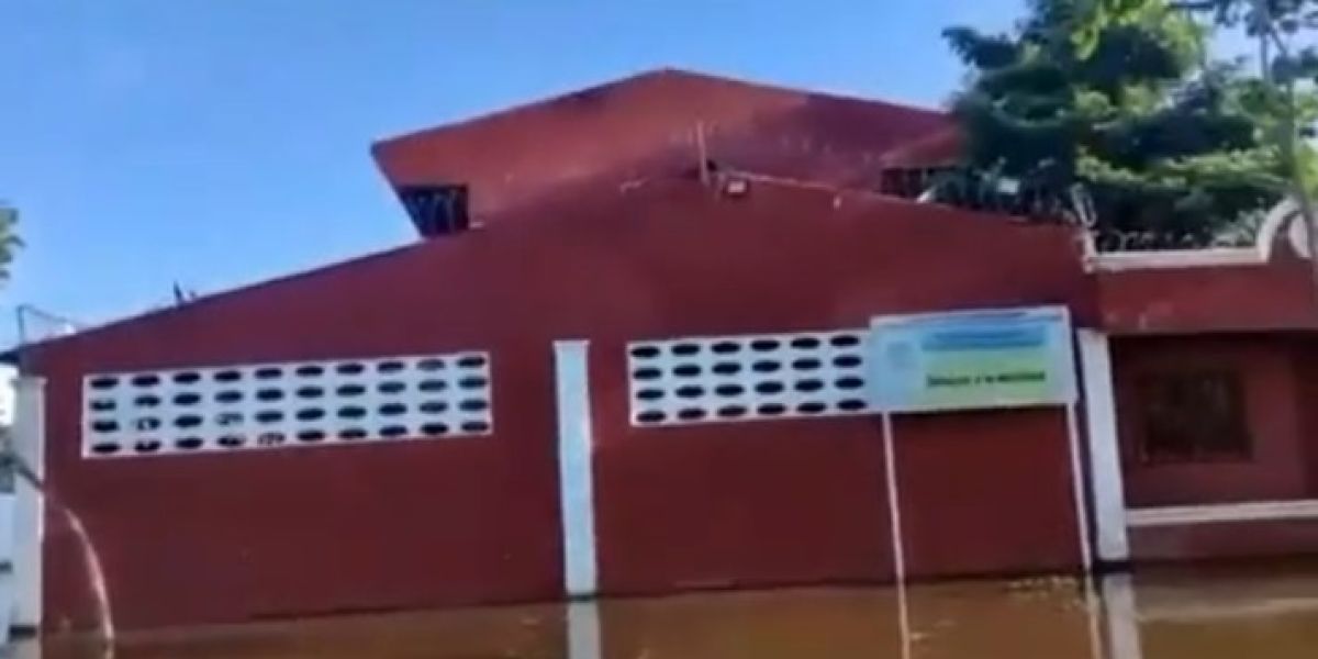 Captura de Video. Bajo el agua está la escuela.