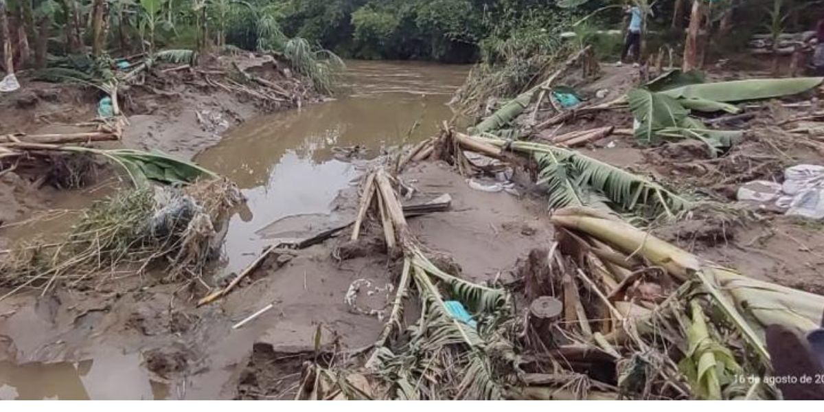 El río Sevilla se desbordó y dejó estragos. 