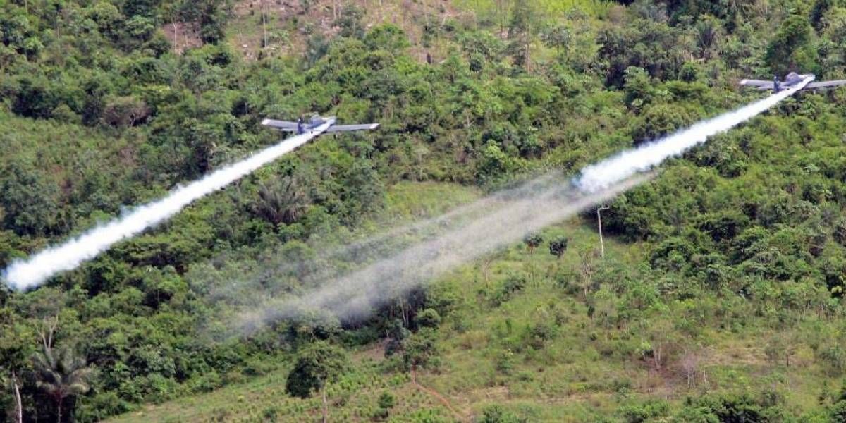 Zona Cero Campos fumigados