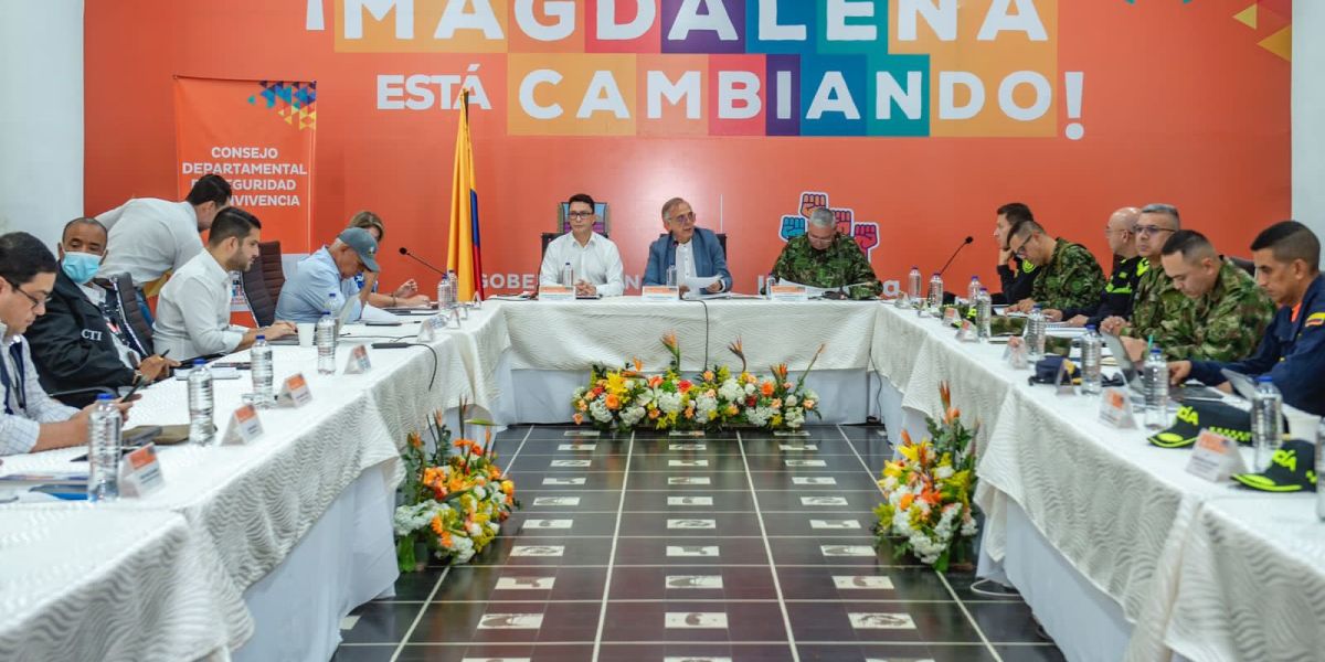 MinDefensa Consejo de Seguridad Departamental.