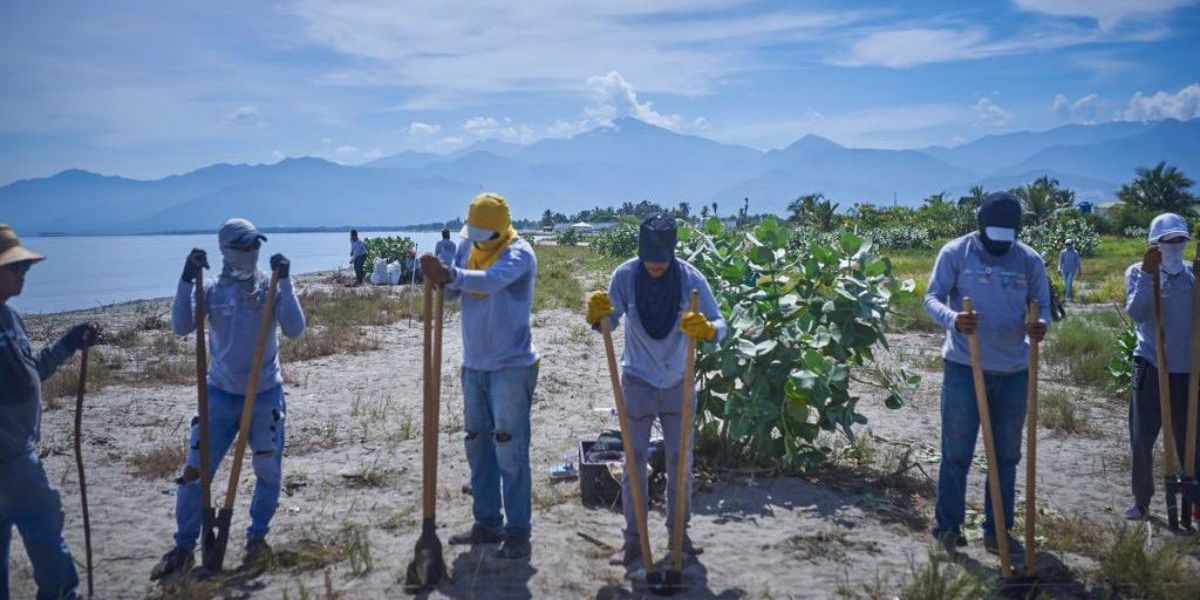Cortesía Proyecto de erosión costera en Puebloviejo