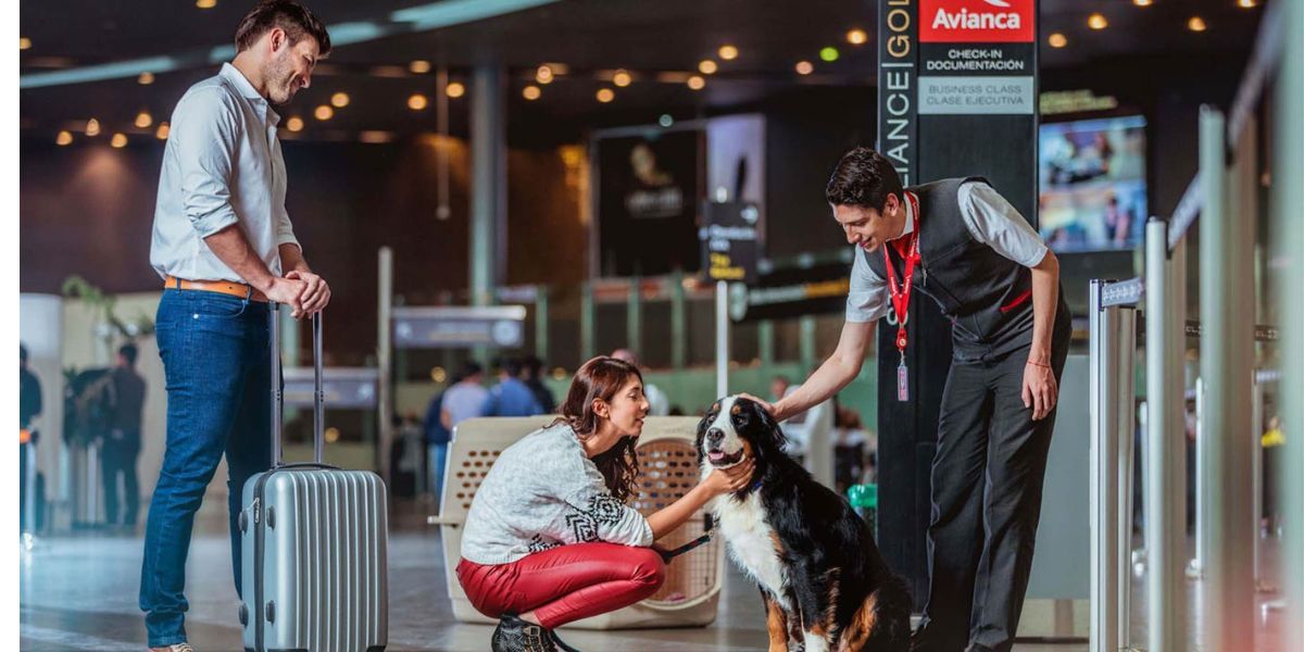 Cortesía La aerolínea endureció las medidas para los viajes con mascotas