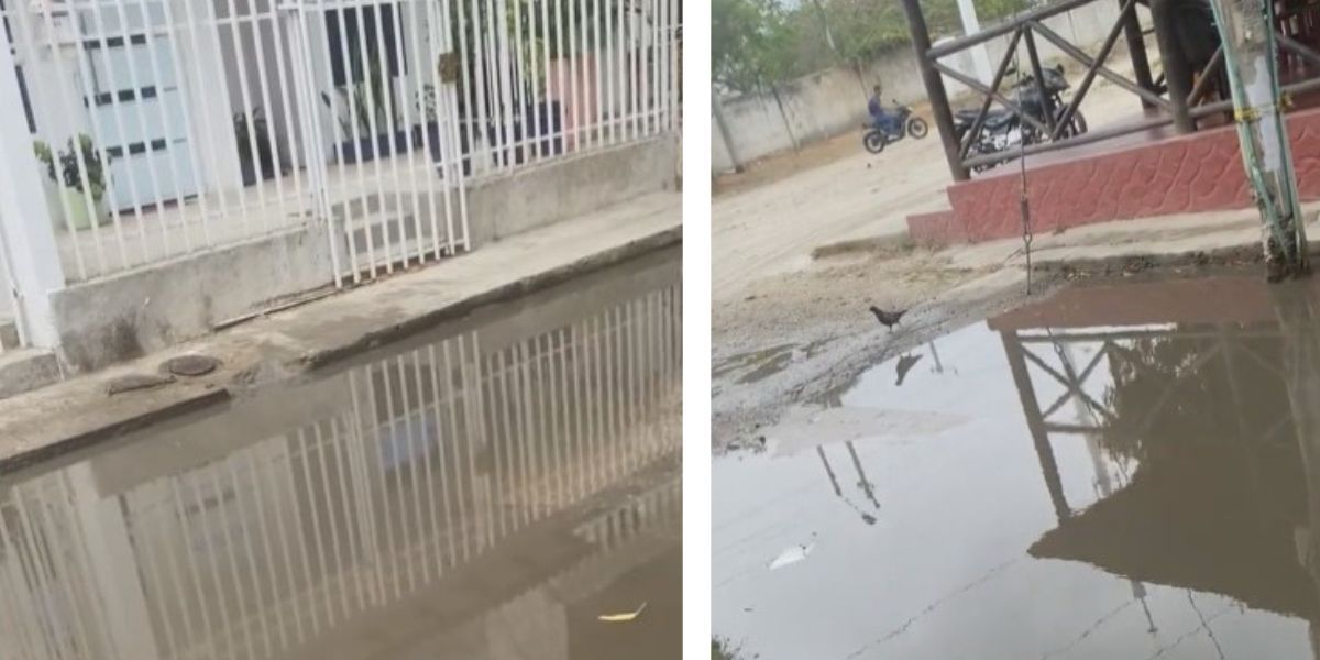 Seguimiento Denuncia ciudadana.