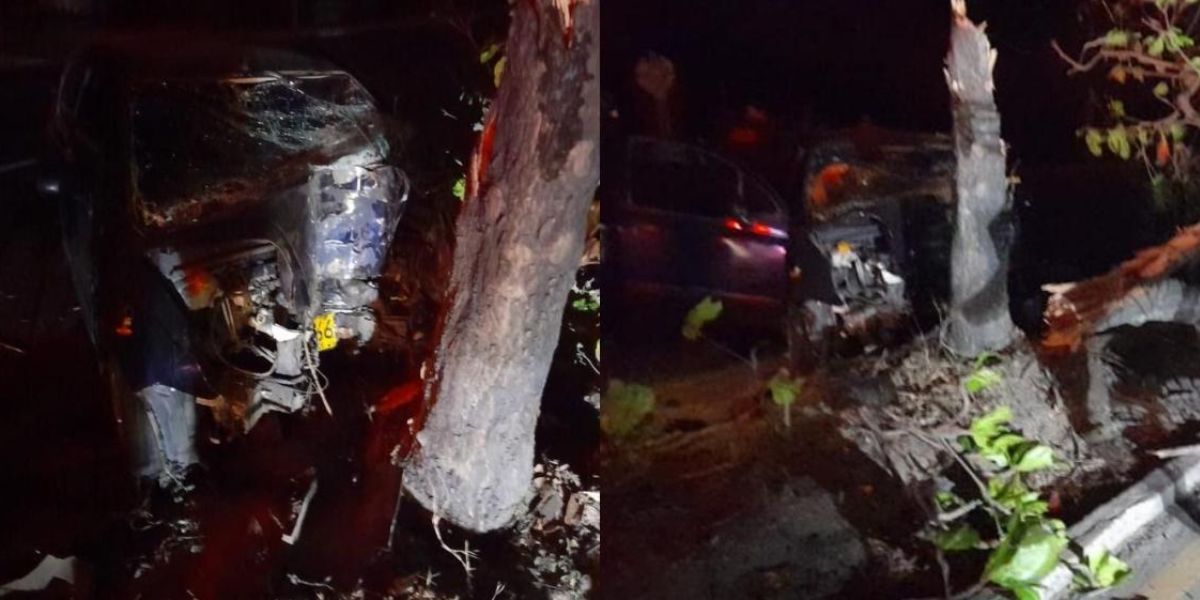 Zona cero. El vehículo chocó contra este árbol en la Vía Oriental.