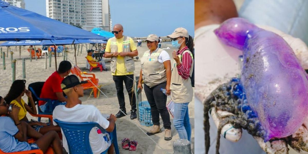 El EPA en Cartagena adelantó pedagogía sobre la 'fragata portuguesa' en las playas.