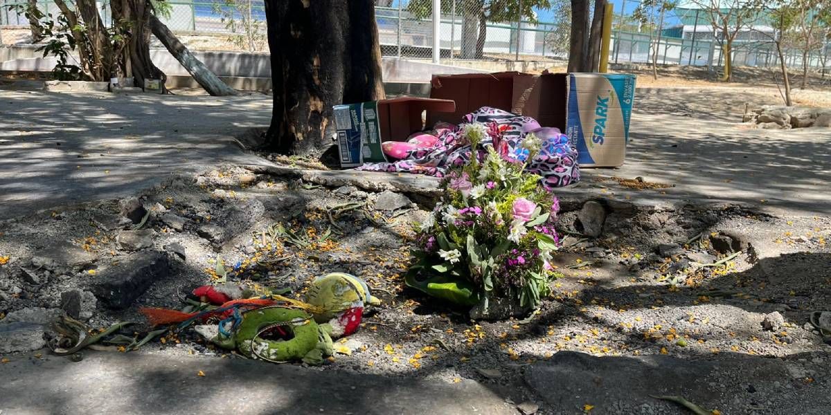 Seguimiento.co Ofrenda floral en el lugar donde estaba el refugio que fue incinerado.