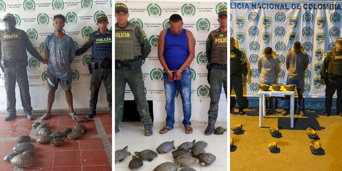 Policía del Magdalena Capturados.
