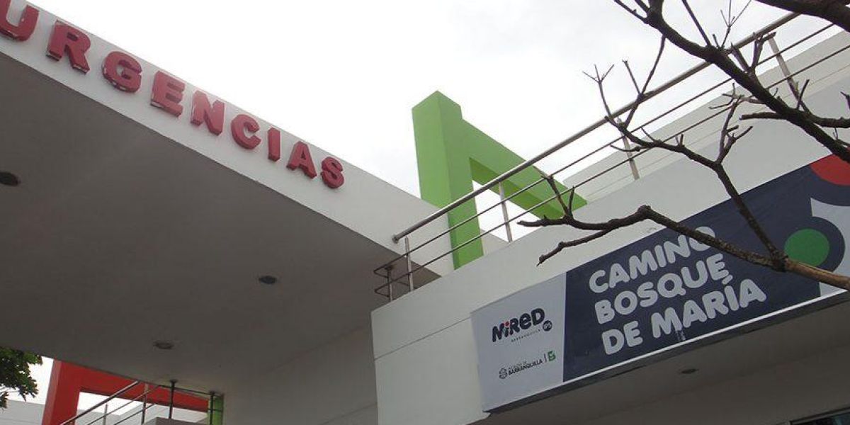 La víctima fue llevada al Camino El Bosque, donde se confirmó su muerte.
