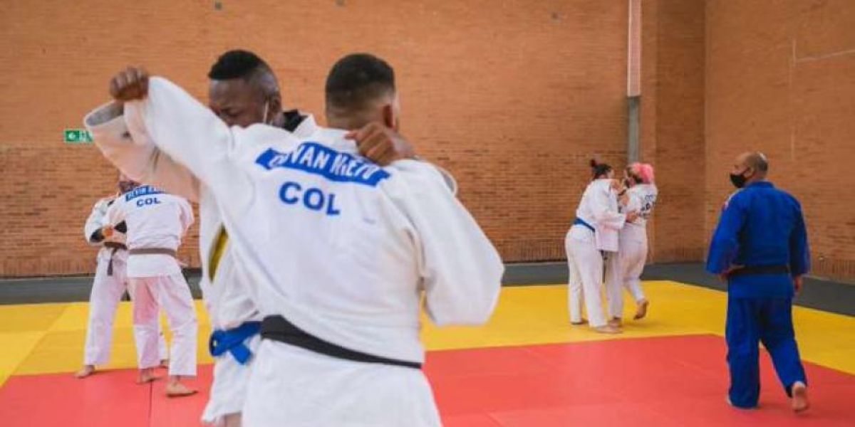 Imagen de referencia.