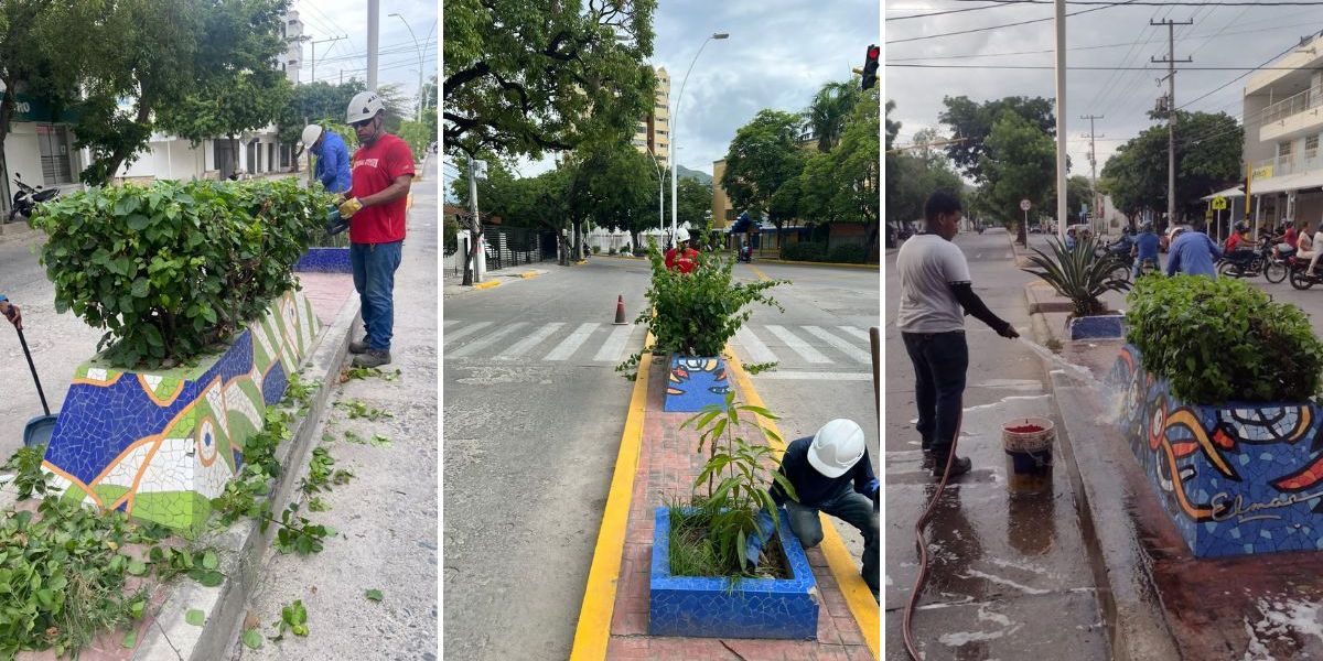 Mantenimiento y recuperación de jardineras y parques de Santa Marta