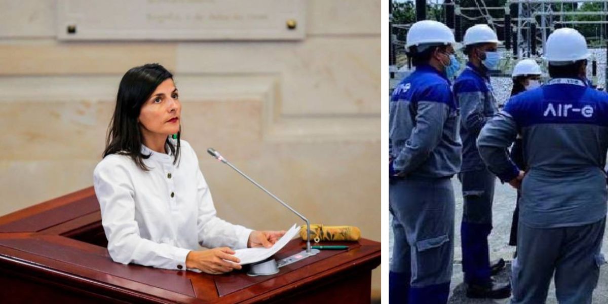 Referencia Ministra Irene Vélez