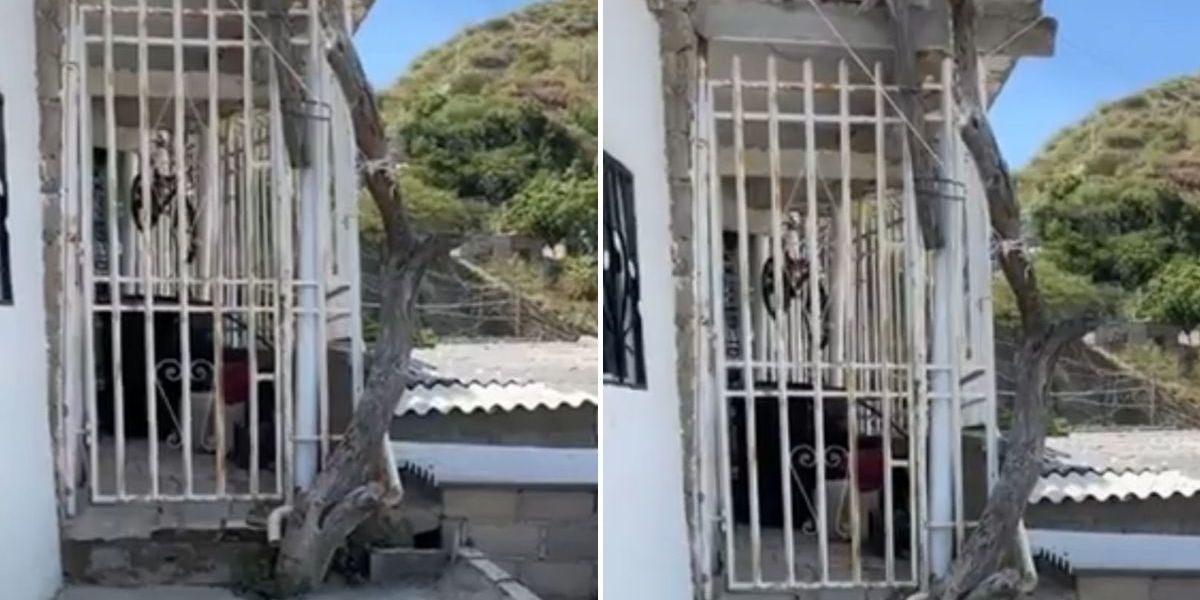 Cortesía Lugar de los hechos.