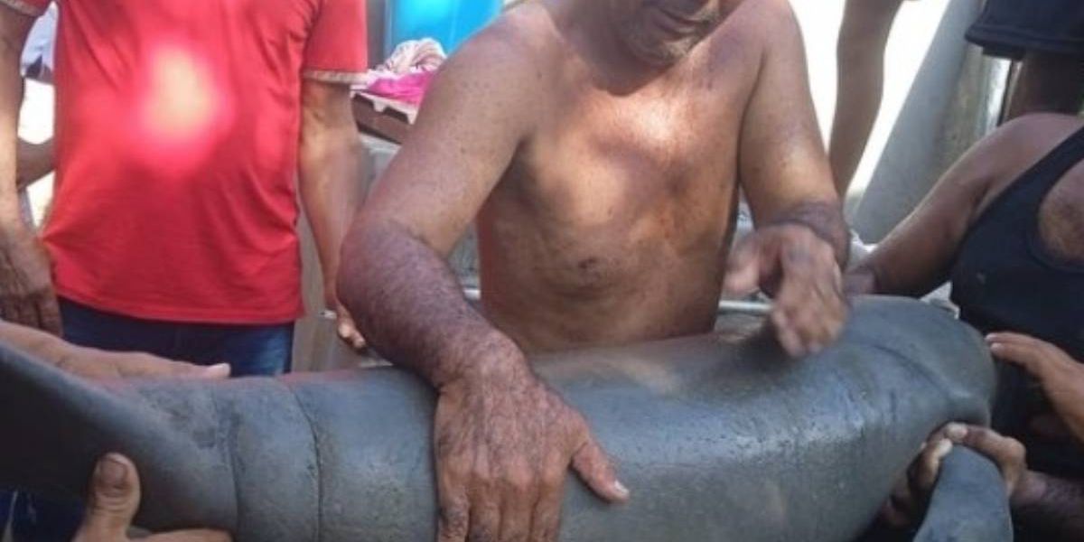 Corpa Manatí encontrado.