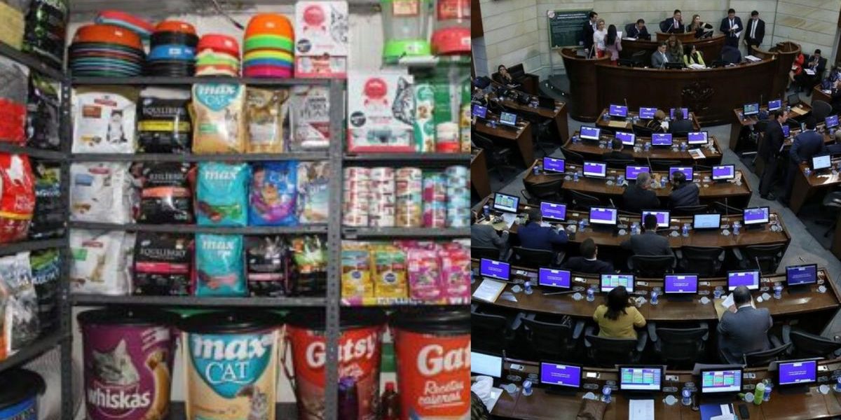 Cortesía Debate Congreso