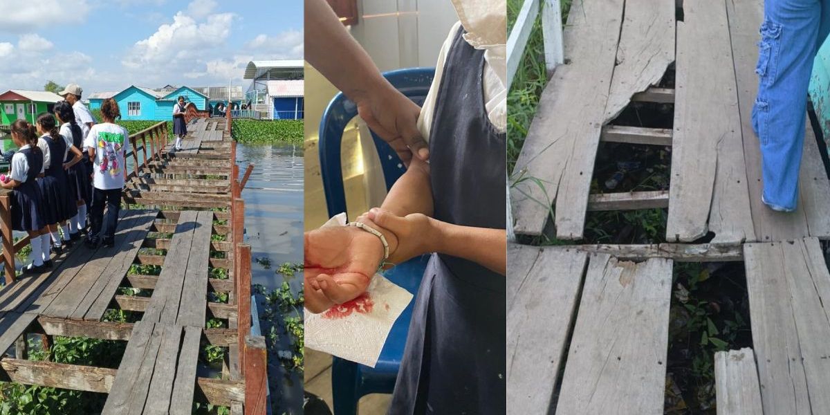 Cortesía Estudiantes necesitan un puente en Nueva Venecia