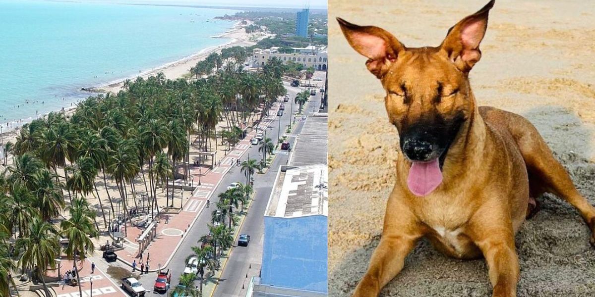 Cortesía Los hechos ocurrieron en la capital de La Guajira