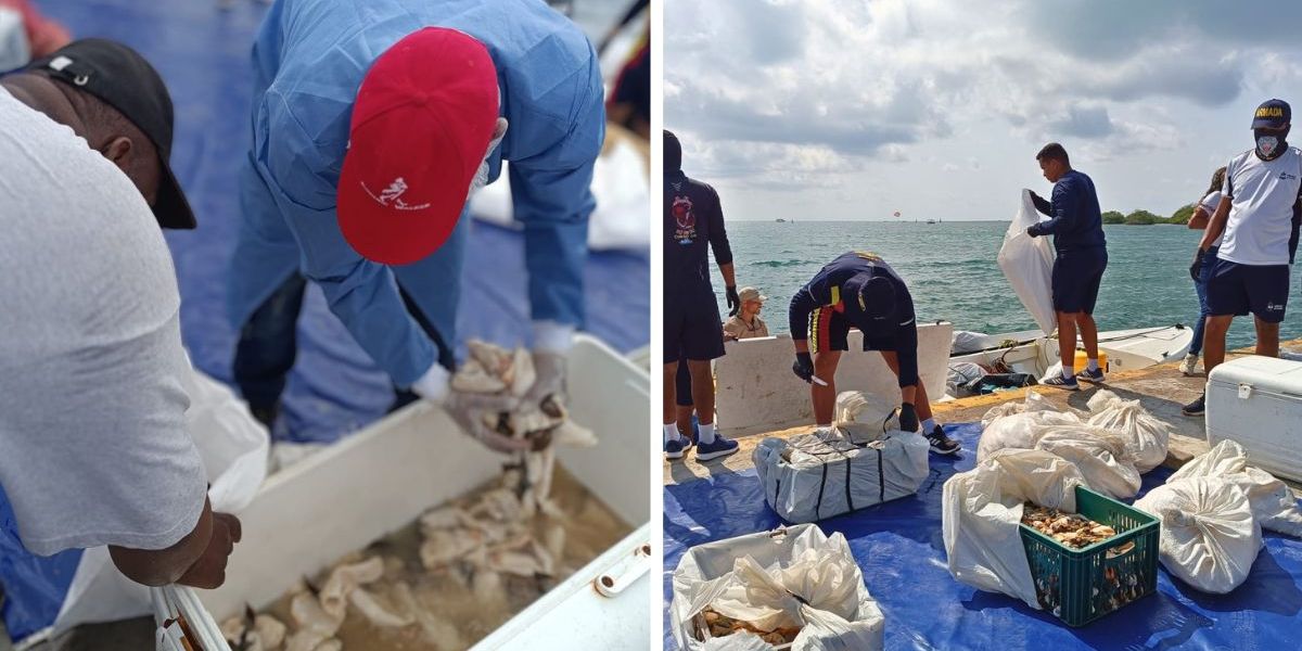 Cortesía Incautación en San Andrés