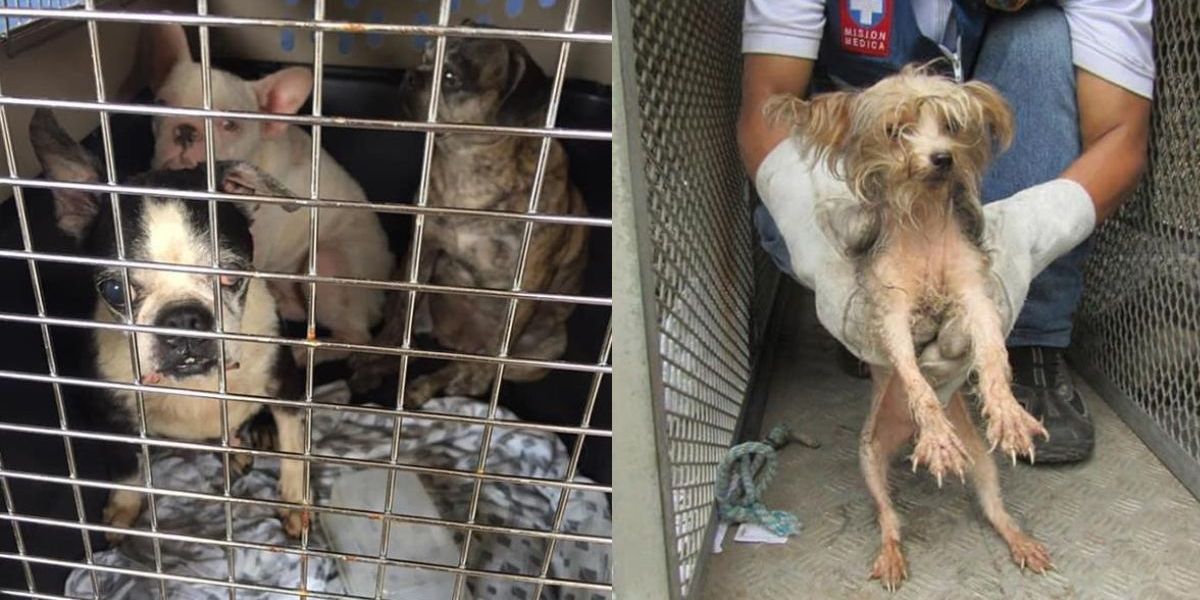 Cortesía El hombre aceptó su responsabilidad por estos hechos.