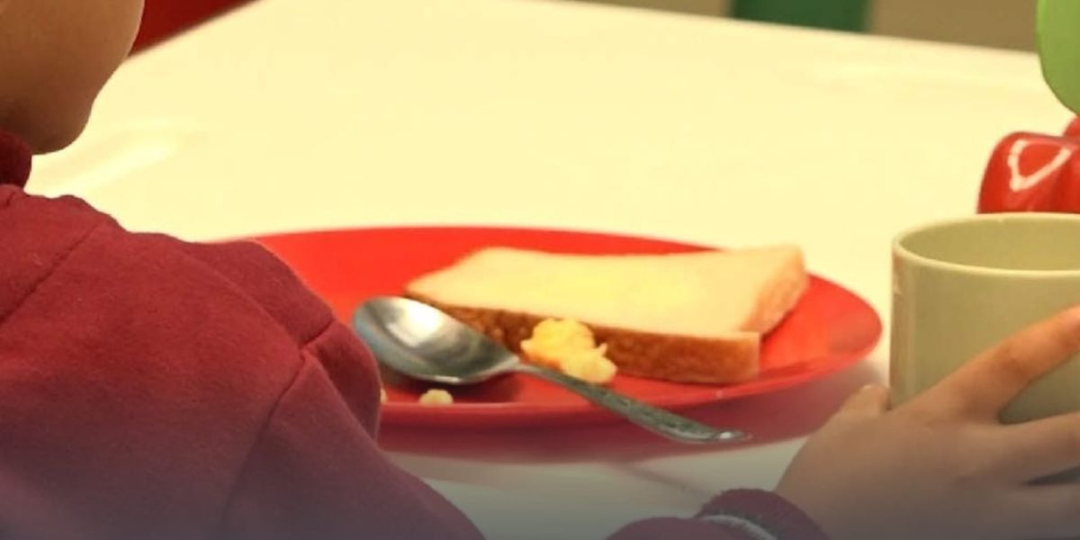 Procuraduría General de la Nación. Programa de Alimentación Escolar.
