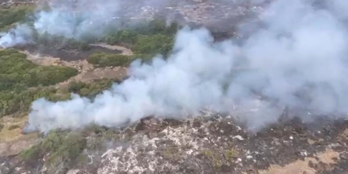 Incendio en el Parque Isla Salamanca, jurisdicción del departamento del Magdalena.