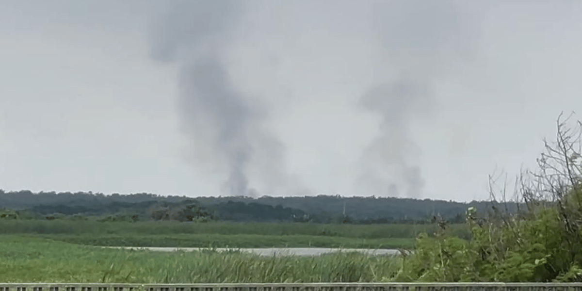 Foto: Zonacero Incendio Parque Isla Salamanca