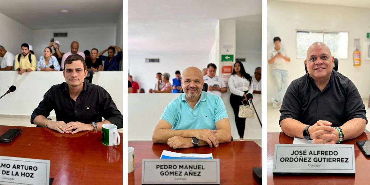 Cortesía Debate de seguridad en el Concejo