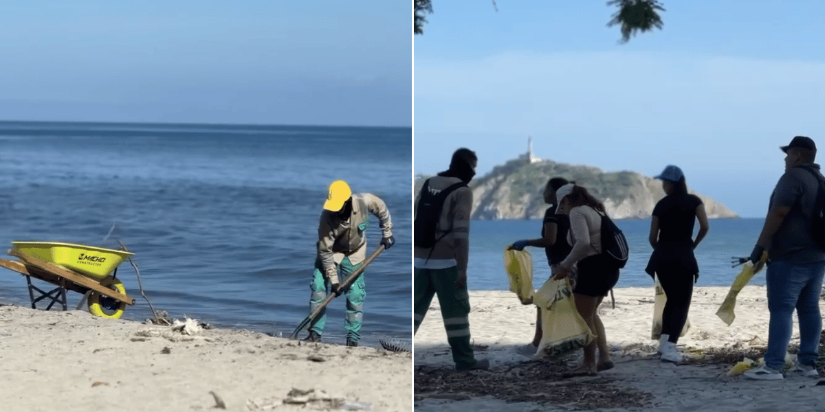 Jornadas de limpieza Dadsa y Atesa logran recolectar casi 56 toneladas de residuos en playas de Santa Marta