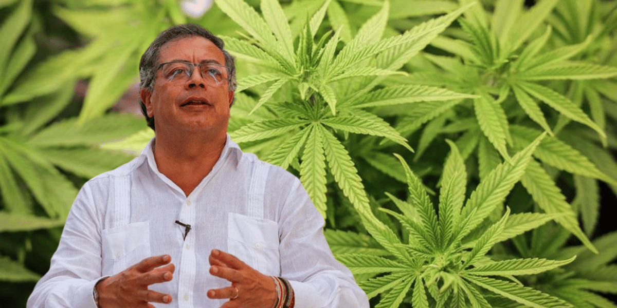 Cortesía Petro pide al Congreso legalizar el cannabis "para aprovechar el mercado mundial"