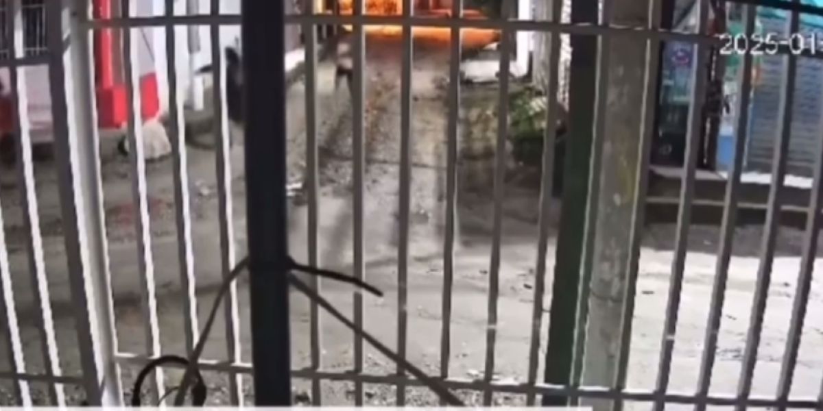 Seguimiento. Captura de pantalla de video suministrado.