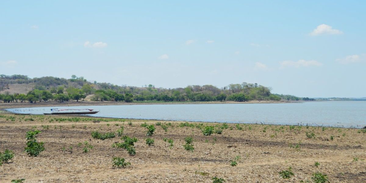 Corpamag Cienagas