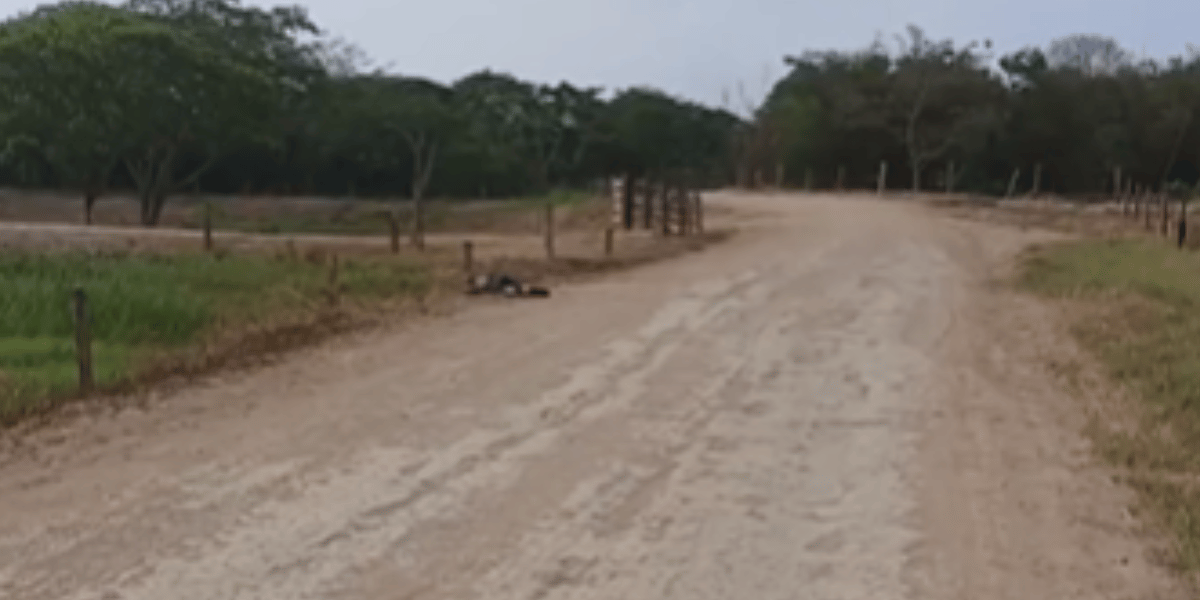 Cortesía Hallan cuerpo sin vida en la vía Guáimaro - Remolino