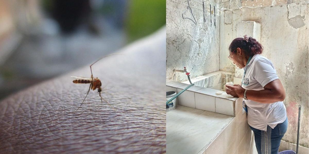 Cortesía Casos de dengue en Santa Marta