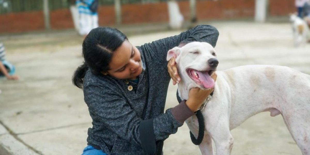 Cortesía Esterilizaciones masivas en Santa Marta