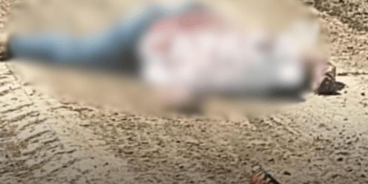 Cortesía Hallan cuerpo sin vida en la vía que conecta San Ángel con Algarrobo, Magdalena