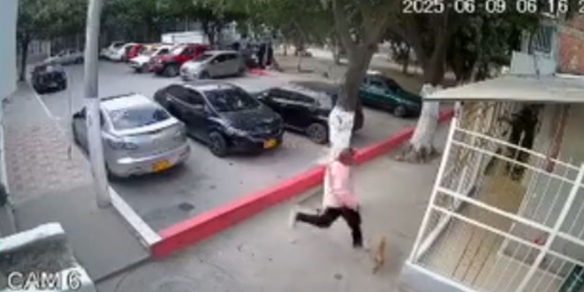 Cortesía Momento en el que este sujeto golpeó mortalmente al perrito.