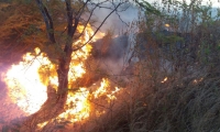 Incendio cerca a la cancha de fútbol de Gaira.