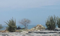 El olor llega a una obra cercana a playa de Bello Horizonte.