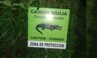 Estos son algunos de los letreros que previenen sobre la presencia de caimanes.